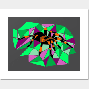 Geometric tarantula Posters and Art